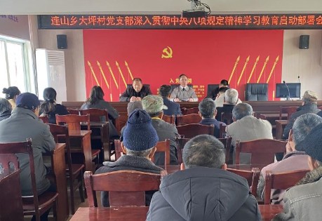 大坪村党支部召开深入贯彻中央八项规定精神学习教育启动部署会